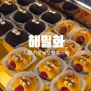 모리커피시흥거북섬점 | 시흥 거북섬 대형 오션뷰 베이커리 카페 해밀화 내돈내산 방문후기