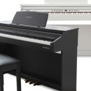 아름다운 선율, 우쿨렐레(입문) 이미지