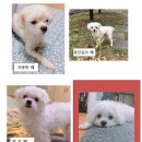 흥선역 이미지