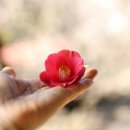 부성농장 이미지