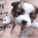 대한제2주유소 이미지