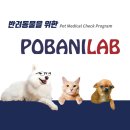 팝애니랩
