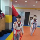 용인대 동성 태권도 이미지