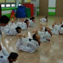 용인대예당태권도 이미지