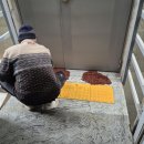 여수전남병원 이미지