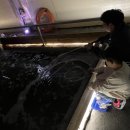 88실내바다낚시터 이미지