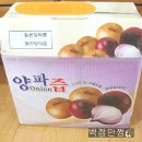 화순건강원 - 화순군 오성로 488-1 | 화순건강원
