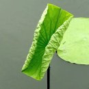 나산실업