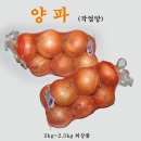양파 - 통영시 중앙로 160 | 양파