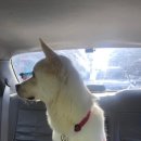 독클래스 이미지