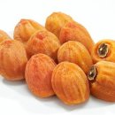 이엘글로벌