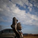 장산영농조합 이미지