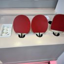 대전 둔산동 놀거리 추천 24시 무인 탁구장 '핑크핑퐁'