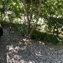 우니메이카(가평점) | [경기도가평캠핑] 우니메이카 가평점_두번째 방문 후기(feat.계곡캠핑장,개별화장실)