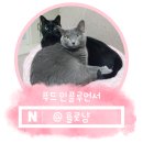 유기농 백미 땅끝황토친환경 천지향 맛있는 쌀로 소고기솥밥만들기