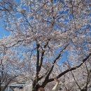 동해 구상수시설 이미지