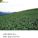 흥농종묘사 이미지