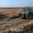 강우축산 이데일리