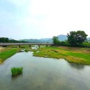 사평전통시장 이미지