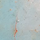 청룡프라자 이미지