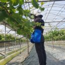 청비농장 이미지