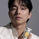 화이트오 이미지