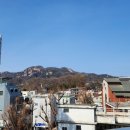 펫시스터즈 | 우리 사랑은!