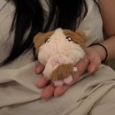 경희궁노래방 | 6~10月 일상블로그