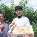 지상농장 이미지