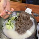 부여 삼정식당 후기｜100% 사골 물냉면, 일반냉면과 뭐가 다를까?
