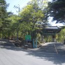 신어산 산림욕장 이미지