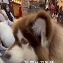 뽑앗쓰 이미지