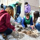 문장초등학교 이미지