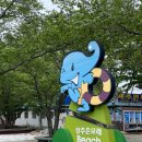 남주농산3rd | [남해여행/남해 가볼만한 곳] 상주 은모래비치 가보기 (남주농산3rd 카페 방문 후기)