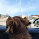 마장 색소폰 이미지