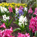 안면펜션 이미지