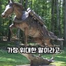 미국 100대 영웅 선정된 한국말 &#39;레클리스(Reckless)&#39;, 미해병대 최초 동물 하사 이미지
