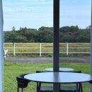 팜팜스테이 이미지