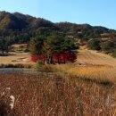 밸리CC 스타트 하우스 이미지