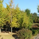 야외족구장 이미지