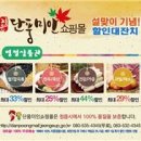 단풍한과 이미지