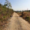 강프로공인중개사사무소 이미지