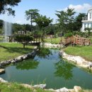 언덕위에 이미지