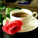 함양여자중학교 이미지