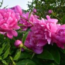 지리산한옥민박 이미지