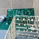 월드종합할인마트 이미지