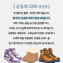 운동화2500 이미지