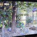 윤수선 이미지