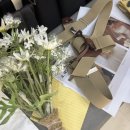 자연풍경 | 대전 풍경사진관 웨딩촬영 후기 촬영 당일 기록