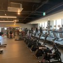 타임짐휘트니스 이미지